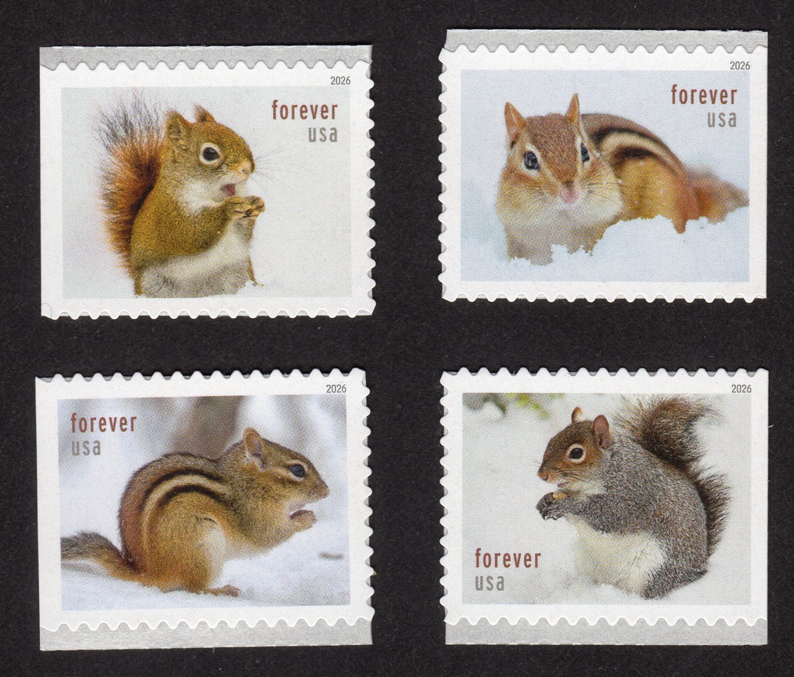 Scott #6129-6132 Squirrels & Chipmunks Booklet Single Forever Stamps - MNH