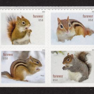 Scott #6129-6132 Squirrels & Chipmunks Booklet Block of 4 Forever Stamps - MNH