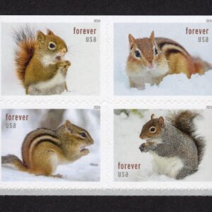 Scott #6129-6132 Squirrels & Chipmunks Booklet Block of 4 Forever Stamps - MNH