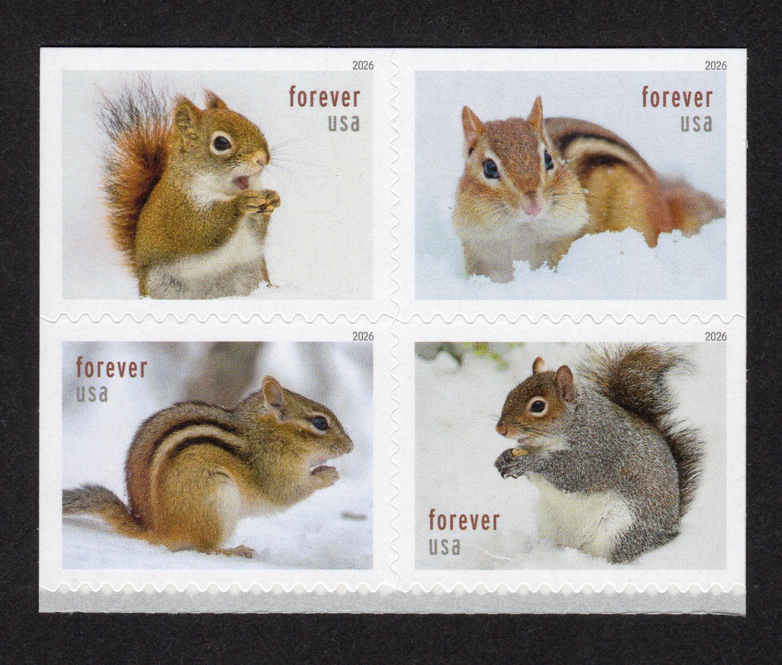 Scott #6129-6132 Squirrels & Chipmunks Booklet Block of 4 Forever Stamps - MNH