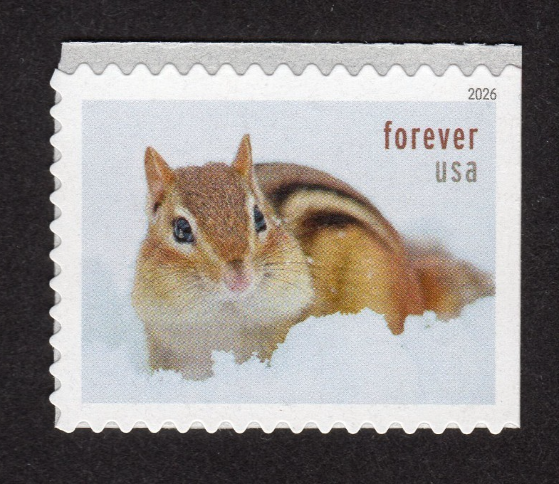 Scott #6130 Squirrels & Chipmunks Booklet Single Forever Stamp - MNH